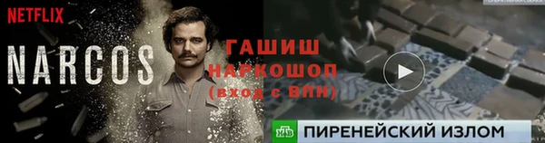 СК Алзамай