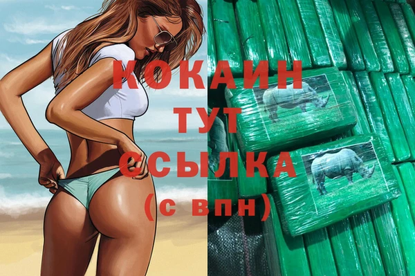 соль ск Алексин