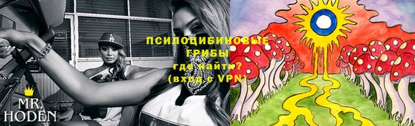 СК Алзамай