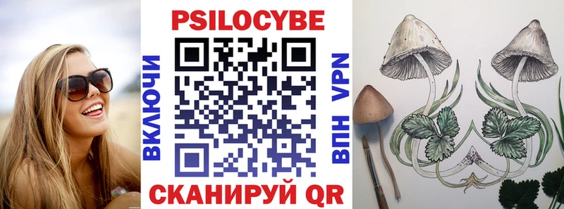 купить наркотики цена  Курлово  Псилоцибиновые грибы GOLDEN TEACHER 